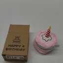 EXPAWLORER Dog Birthday Bandana Set - Cute Hat and Squeaky Cake Toy for Birthday Party Supplies Gift - Great for Small Medium Large Dogs Pink