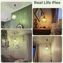 Green Glass Plug in Pendant Light with 15ft Cord and On/Off Switch