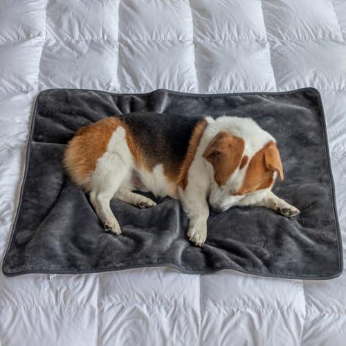 MERRYLIFE Waterproof Throw Blanket for Bed Couch Reversible Absorbent Spills Stain Leak Proof Dog Liquid Pee Proof Bed Furniture Protector (Grey, 30"*40")