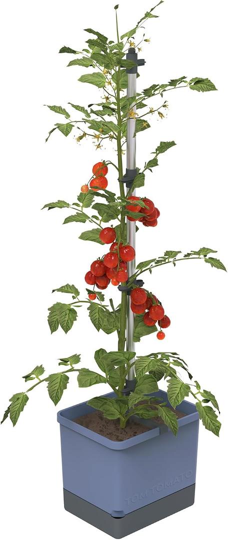 BUZZY Seeds Self-Watering Vertical Tomato Planter, Trellis, 1.2 Gal, Blue | Self-watering vertical planter with aluminum trellis & 1.2-gal reservoir; grows tomatoes & climbers; blue finish for patios