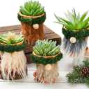 Taiyin 4 Pcs Gnomes Succulent Planter Bulk Garden Pots Outdoor Flower Pot Cactus Plush Tray Cute Spring Gnome Gifts Home Farmhouse Decorations for Yard