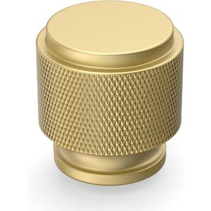 Asidrama 10 Pack Brushed Gold Zinc Cabinet Knobs for Dresser Drawers (Single Hole Knob, Brushed Gold)