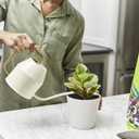 Miracle-Gro Perlite - Enriched with Plant Food, Improves Drainage and Aeration in Potting Soil Mixes, For Container Plants, 8 qt. (2-Pack)