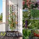 Trellis for Climbing Plants Outdoor, 24 Rifny Tall Garden Trellis Flower Rose Cucumber Trellis for Vines Pea Support, Wall Large Plant Trellis Fence with Plastic Screen Frame, 2 x 6.2 FT