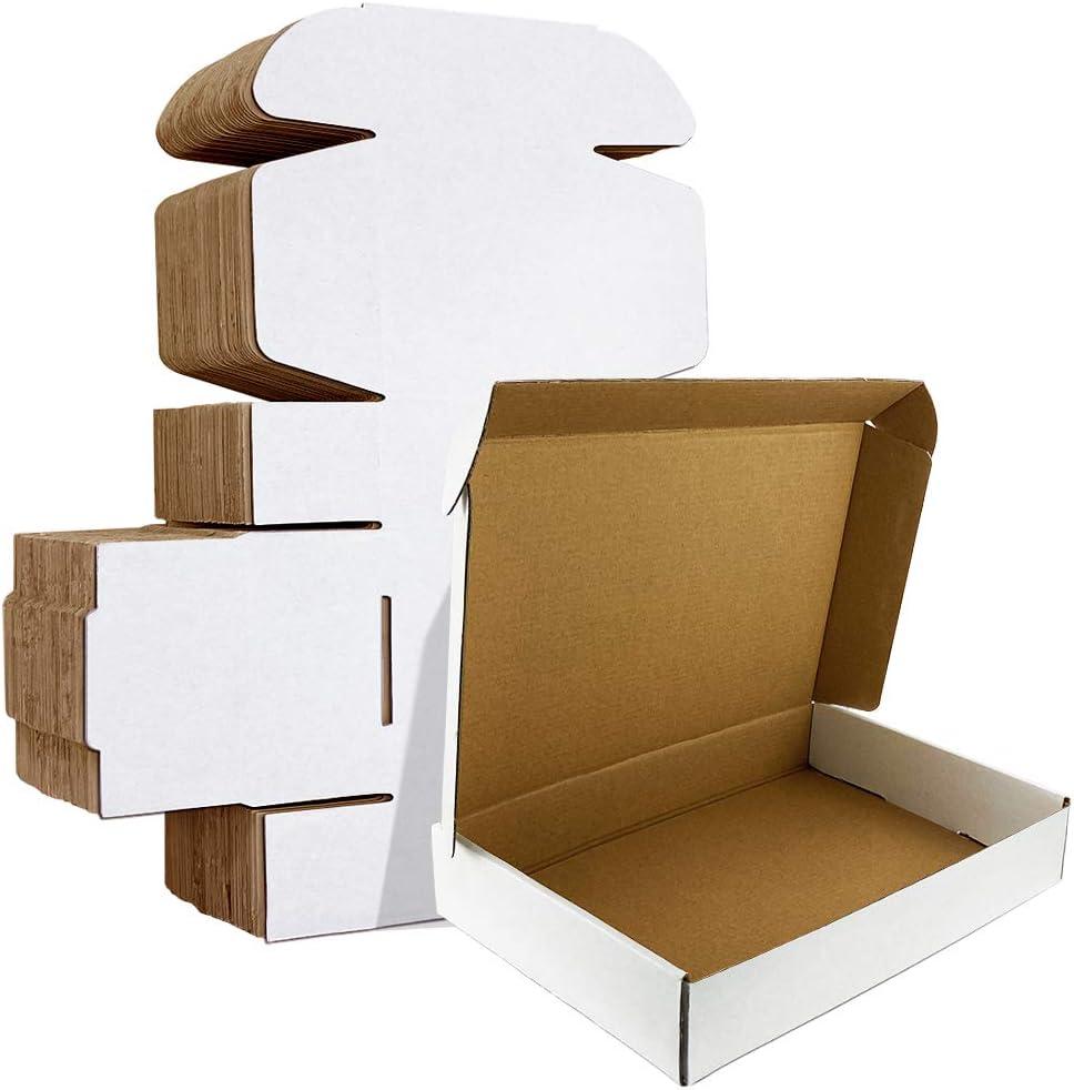 HORLIMER 12x9x3 inches Shipping Boxes Set of 20, White Corrugated Cardboard Box Literature Mailer