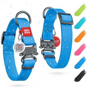 WAUDOG Waterproof Dog Collar - Adjustable Dog Collar with Air Holder and QR Dog Tag for Large Dogs, Small and Medium Dogs (12" - 19" Neck * 1" Wide (Metal Buckle), Blue)