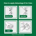 Advantage II Large Cat Vet-Recommended Flea Treatment & Prevention Cats Over 9 lbs. 2-Month Supply
