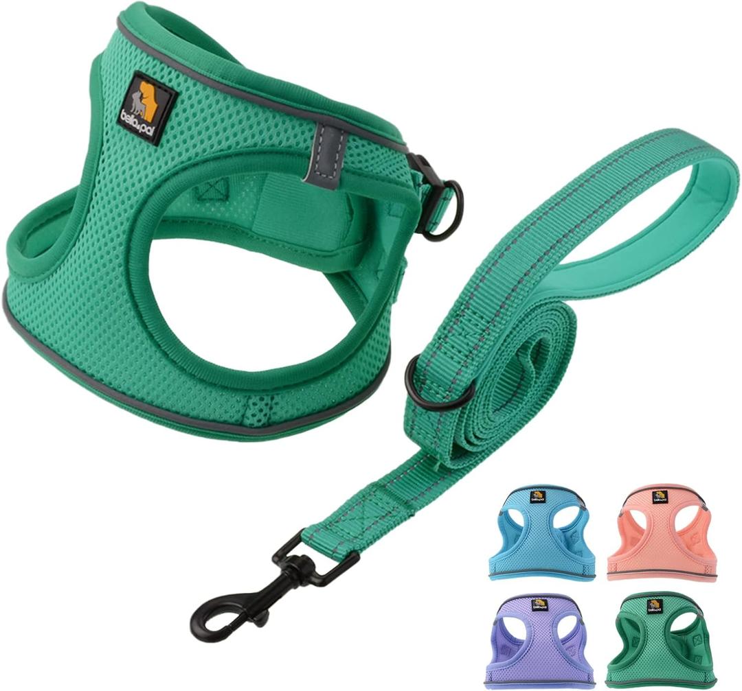 BELLA & PAL Puppy Harness with Leash Set, Dog Harness for Small Dogs No Pull, Dog Leash for Small Dogs, Step in Harness for Extra Small Dogs, Green Harness, XS (Emerald)