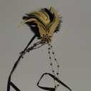 BABEYOND 1920s Women Feather Crystal Headband 20s Flapper Gatsby Headpiece (Black Gold)