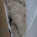 Ashler Faux Rabbit Fur Rug, Beige 6x9 FT Fluffy Soft Runner Area Rugs, Rectangle Fuzzy Carpet for Living Room, Bedroom, Machine Washable Shaggy Nursery - 3D Bubble Mat