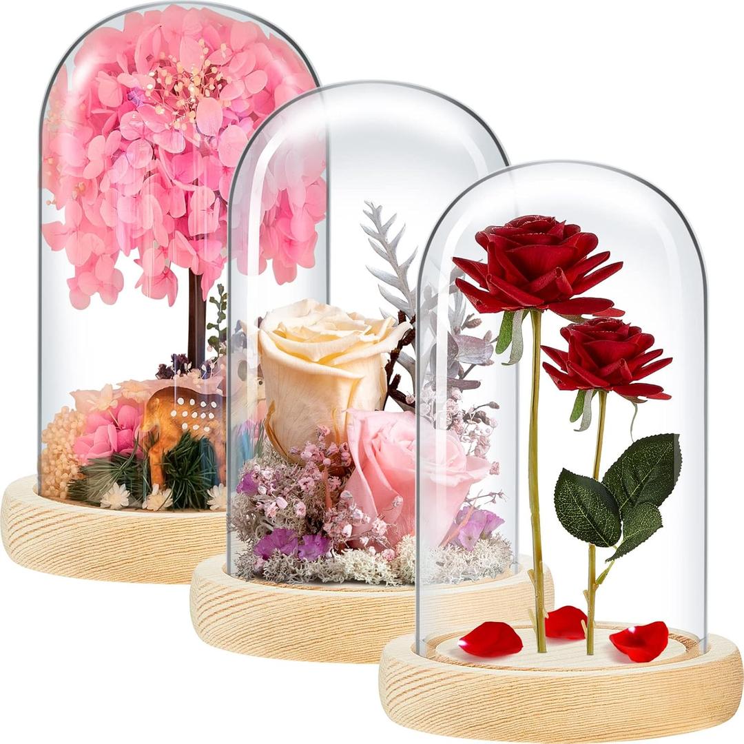 3 Pieces 8 x 4.7in Glass Cloche Display Dome, Decorative Glass Bell Jar with Solid Wood Base, Clear Cloche Dome Display Case for Home Decor, Craft, Plants, Light