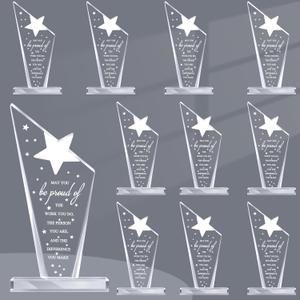 Bucherry 10 Pcs Employee Appreciation Awards for Coworker Acrylic Thank You Trophy May You Be Proud of The Work You Do Sign Prizes Retirement Goodbye Farewell Gift for Women Men(Stylish)