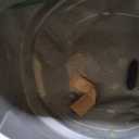 PETLIBRO Luma Automatic Cat Litter Box AI-Camera Waste Analysis, Auto Odor-Control Self Cleaning Cat Litter Box with Multi-Cats Recognition, Smart App Usage Tracking, Safety Sensors and Large Open Top (White)