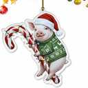 Pig Christmas Ornament 2025 2D Flat  Acrylic Holiday Tree Hanging Decoration  Cute Farm Animal Hugging Candy Cane Ornament, Pig Lover Gift, Rustic Christmas Keepsake 2025