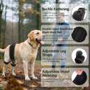 Dog Hip Orthotics Brace, Dog Hip Dysplasia Brace, Support for Hip Dysplasia, Arthritis, Luxating Patella, Back Leg limping, Relieve Hip Pain and Orthodontic Assistance - Medium