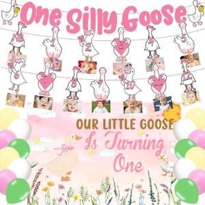 One Silly Goose1st Birthday Party Supplies,Pink Silly Goose Photo Banner ,Backdrop,Ballon,Hanging Decorations for Baby Shower Girls First Party Decorations