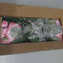 Artificial Geranium Fake Flowers for Outdoors Decoration, 6 Bundles Silk Geraniums Pink Flower UV Resistant Look Real Faux Plants for Outside Planter Front Door Garden Porch Patio Balcony Yard Home
