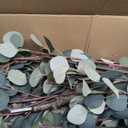 Eucalyptus Trees Artificial Indoor7FT Tall Faux Plants Indoor with White Planter, Green Lifelike Fake Eucalyptus Tree Artificial Plants, Artificial Trees for Home Decor Indoor | Green Lifelike Fake Eucalyptus Tree Artificial Plants, Artificial Trees for Home Decor Indoor