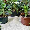 Organic Perlite Horticultural Soil Amendment for Plants and Enhanced Drainage Enhanced (Perlite, 12QT)