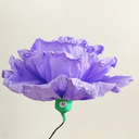 LJIEHouse Purple Large Paper Flowers  Giant Paper Flowers 5.77FT Life Size Flowers Wedding Decorations for Birthday Party Outdoor Banquet Event Home Backdrop Decor