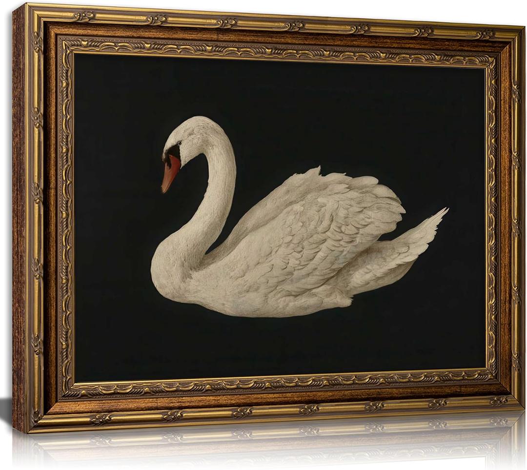 Vintage Gold Framed Swan Wall Art Antique White Swan Painting Canvas Print Dark Country Animals Picture Wall Decor Rustic Farmhouse Poster Artwork for Bedroom Living Room Home Decoration  16"L x 24"W