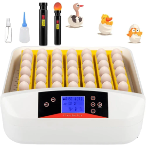 55 Egg Incubator with Humidity Display, Egg Candler, Automatic Egg Turner, for Hatching Chickens