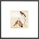 8x8 Picture Frame, Black Metal Square Photo Frames with HD Glass, Fits 5x5 with Mat or 8 x 8 without Mat, Display for Wall and Table, 1 Pack