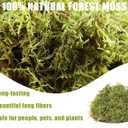 2 x Dried Forest Moss for Plants 5.3oz / 3qt, Green Orchid Sphagnum Moss, Long Fibered Dried Moss for Succulents Garden Flowers Pot and Reptiles