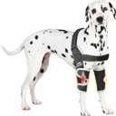 Dog Elbow Protector for Pets Elbow Dysplasia - Offers Elbow Support, Reflective Pet Recovery Suit Taper Collar Alternative, Helps Wound Healing, Prevents Licking, XXL