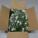 RECUTMS Artificial Hanging Plants Fake Hanging Plant Faux Eucalyptus Leaf Greenery Vine Outdoor UV Resistant Plastic Plants Home Garden Wedding Party Indoor Outdoor Decorations(White)
