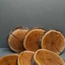 Unittype 6 Pcs Round Throw Pillow Wood Decorative Soft Circle Seating Tree Stump Pillow Floor Cushion Natural Wood Cushion 3D Digital Printing Forest Decor for Bedroom Living Room (Realistic)
