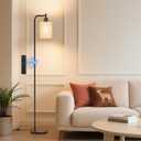 SIBRILLE Floor Lamp with Linen Shade, Dimmable Tall Standing Lamp with Remote Control & 3 Color Temperatures, Modern Floor Lamps for Living Room Bedroom Office Corner, 9W LED Bulb Included