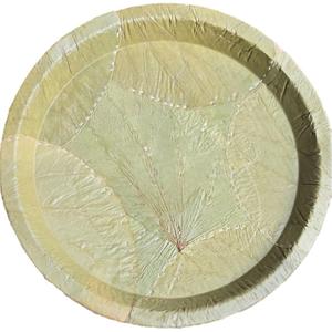 14 inch Sal Leaf Buffet plates Pack of 20 - Eco-friendly, Biodegradable, Disposable and 100% Natural