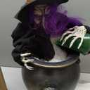 Haunted Hill Farm 1.8-Ft. Witch Pouring Potion Tabletop Animatronic