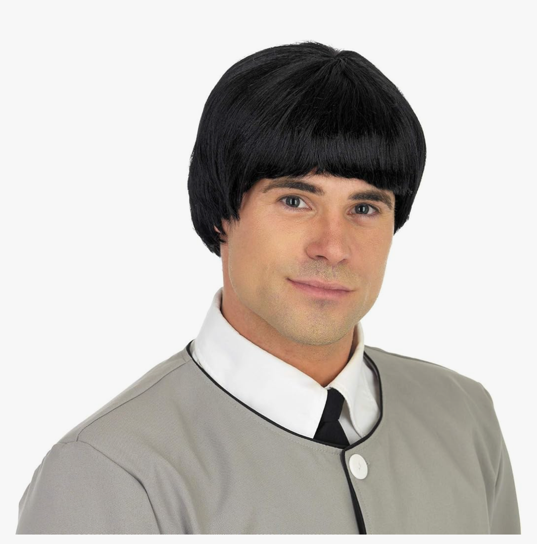 Fun Shack Rocker Wig 80s Heavy Metal Rocker Wig Halloween Costumes For Men