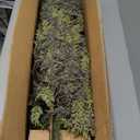 5FT Real Touch Cedar Topiary Trees for Front Porch Decor, Artificial Shrubs Faux Plants Potted UV Resistant Fake Greenery for Outdoor Indoor Door Garden Farmhouse Home Decoration, (Set of 2)