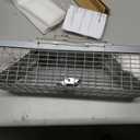 HOMESTEAD Live Rat Trap Indoor/Outside - Squirrel Trap, Have A Heart Animal for Chipmunk, Small Rabbits, Weasel and Similar-Size Rodents, 18"x5"x5", 2 Doors, Fully Assembled