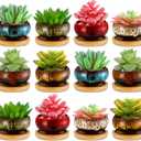 12 Pcs Succulent Pots 2.5 Inch Mini Ceramic Succulent Garden Flower Pots Planters with Drainage and Bamboo Tray for Indoor Garden Plants Planters Colorful Flower Pot(Round,1.2 Inch H)