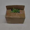 DearHouse Faux Eucalyptus Garland Plant, 2 Pack Artificial Vines Hanging Eucalyptus Leaves Greenery Garland for Wedding Backdrop Arch Wall Decor, 6 Feet/pcs UV Protected Indoor Outdoor Dark Green, Gray Green