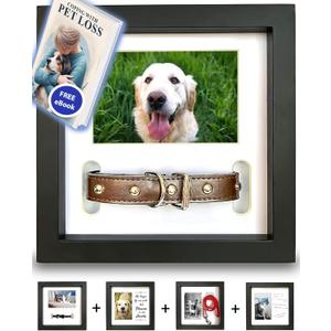 Dog Memorial Picture Frame with 5 Display Options- Dog Collar Memorial Frame Gift - Cat or Dog Pet Loss Gift for a Grieving Friend - Pet Remembrance Gift and Sympathy Photo Keepsake | 9 x 9 x 1.8 inch
