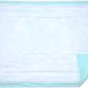 Extra Large Disposable Incontinence Bed Pad 10 Count (Size 36 x 36 Inch) - Hospital Underpad with Incontinence Protection for Adult, Child, or Pets - Absorbent Waterproof Chux by BrightCare