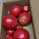 Woration Simulation Lifelike Fake Pomegranates Decoration Realistic Artificial Fruits Props Vivid Pomegranates Home Kitchen Shop Wedding Display 12PCS (12pcs Big & Small Pomegranate Set)