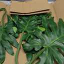 DILATATA 3 Pack Artificial Monstera Leaves with Long Stem for Vase - Fake Tropical Plants Split Palm Leaves Realistic Philodendron Leaves for Home Wedding Party Decor