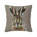 Numaxy Hare Throw Pillow Home Set Comfortable Square Pillowcase Bed Sofa Decoration Living Room Office Cushion Cover 18 "x18 Inches