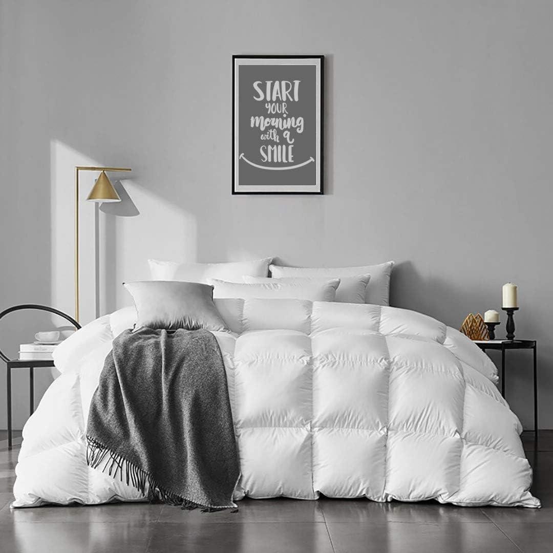 APSMILE King Size Feathers Down Comforter - Ultra Soft All Seasons 100% Organic Cotton Duvet Insert Medium Warm Quilted Bed Comforter with Corner Tabs (106x90,Ivory White)