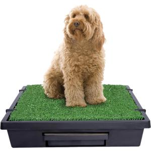 PetSafe Pet Loo Portable Dog Potty - Pet Toilet Alternative for Puppy Pads - Medium - Perfect for House Training - Easy-to-Clean Grass Mat