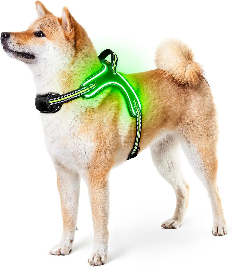 Light Up Dog Harness Rechargeable No Pull Rainproof Dog Vest with Handle for Night Walking, Lighted Dog Harness for Small Medium Large Dogs (Green, M)