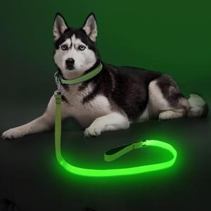 Colaseeme Light Up Dog Leash, LED Pet Leashes USB Rechargeable, Glow Safety Dogs Lights at Night (4FT,Green)