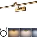 5W LED Wireless Picture Lights with Remote and Timer 23.6 Inch Rechargeable Brass Gallery Lighting Battery Operated Art Lights Over Frame Portrait, 24 Inch
