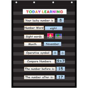 Standard Pocket Chart Clear 10 Pockets Chart for Classroom & Home Heavy Duty Hanging Pocket Chart for Word Wall/Letter Cards/Sentence Strips,28Wx43L,Black